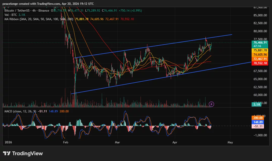 btcusdt_2026-04-20_20-12-45 Will Bitcoin price break above $77,500 or reverse as the 4H MACD prints a bearish crossover at ascending channel resistance? - 2