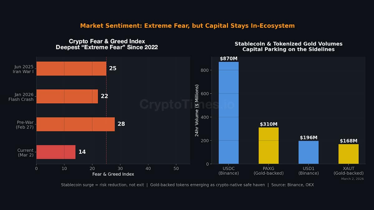 market-sentiments Market Sentiment: Extreme Fear, but Capital Stays In-Ecosystem